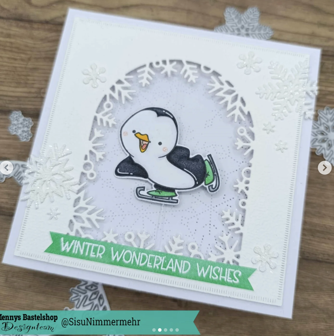 Pinguino Fronte Retro