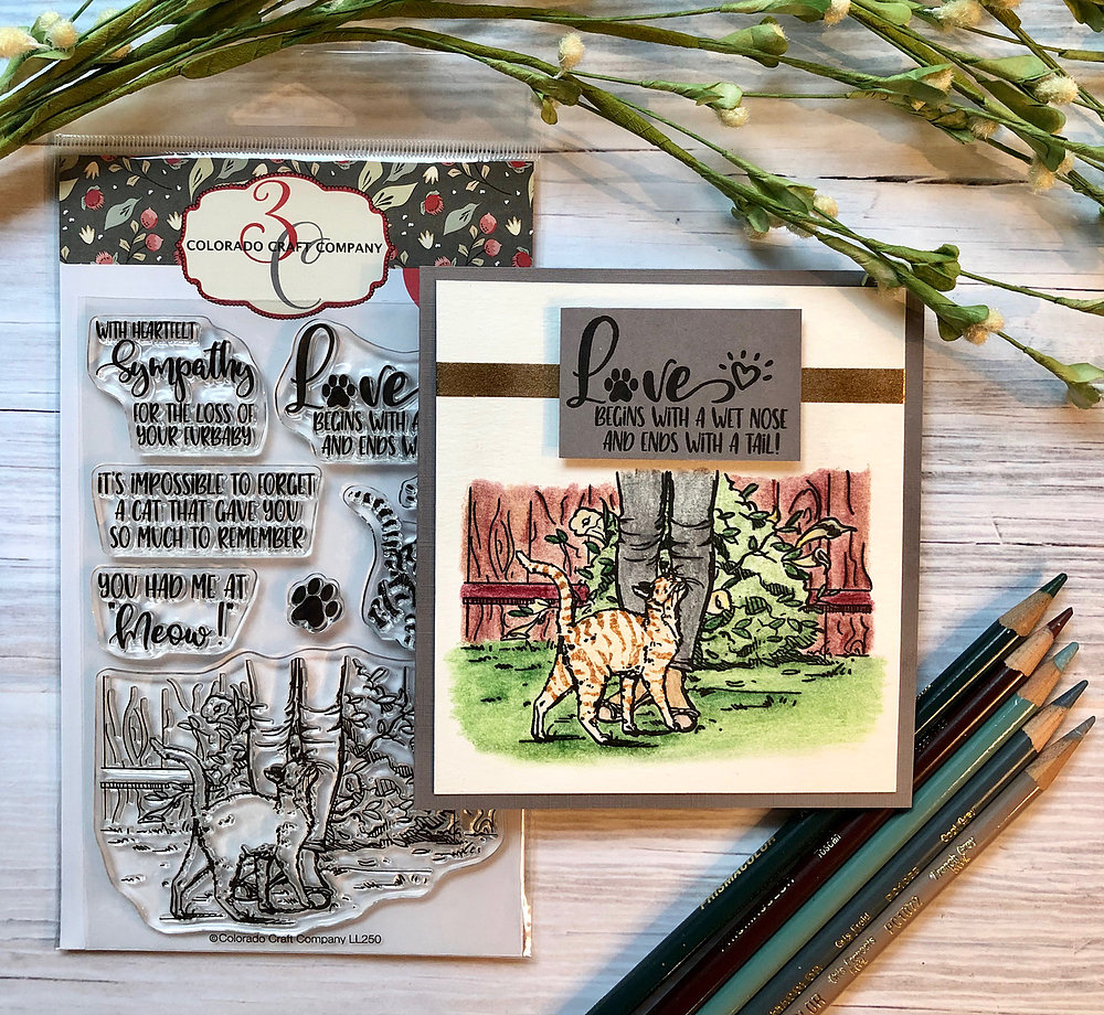 Had Me At "Meow" - Lovely Legs