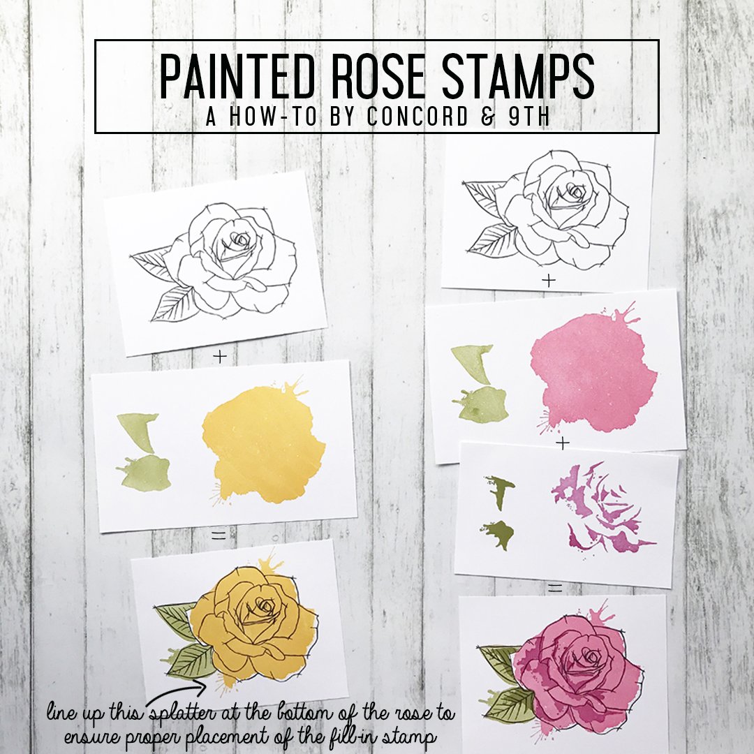 Painted Rose Painted Rose