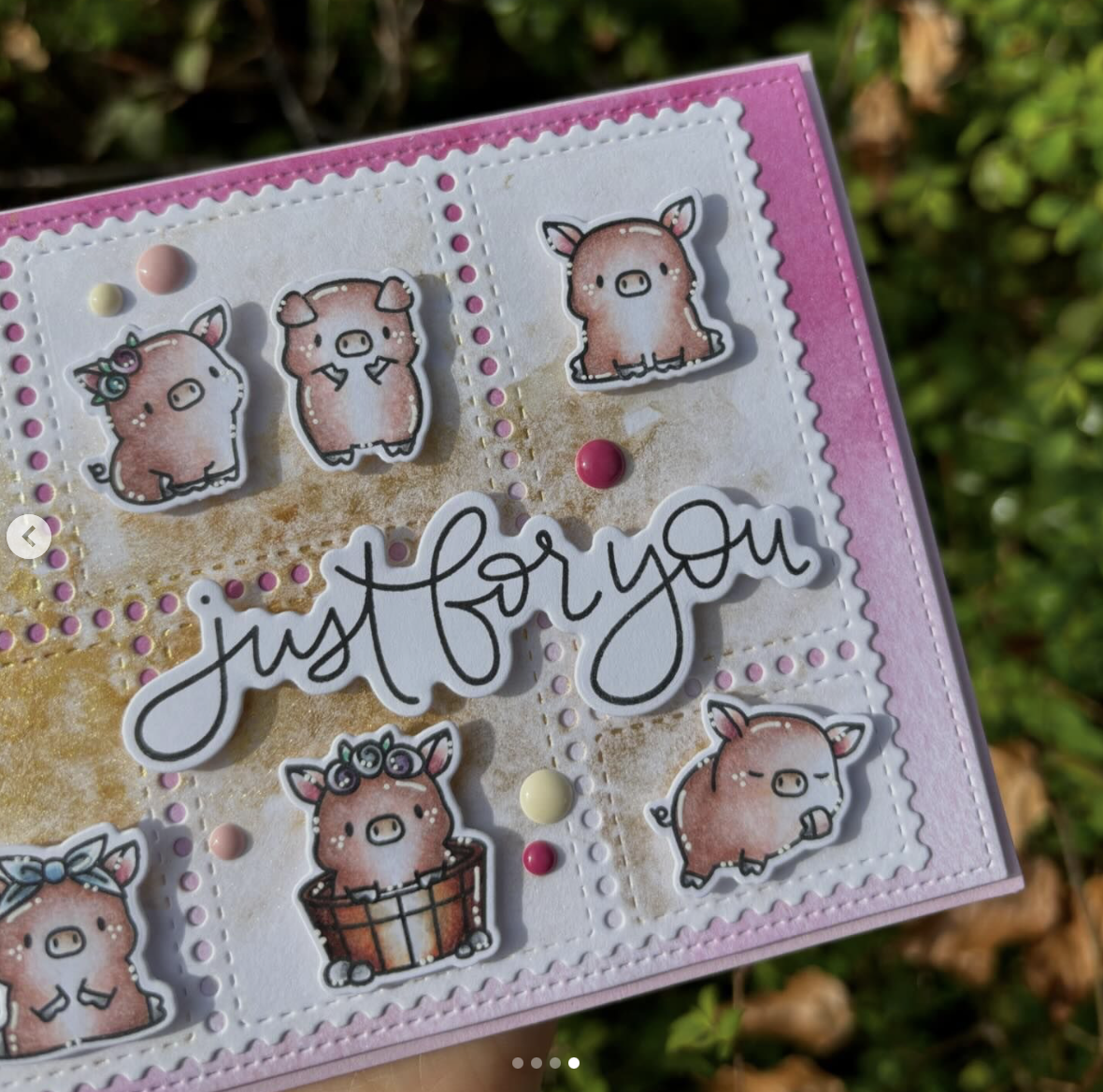 Little Pig Agenda Little Pig Agenda