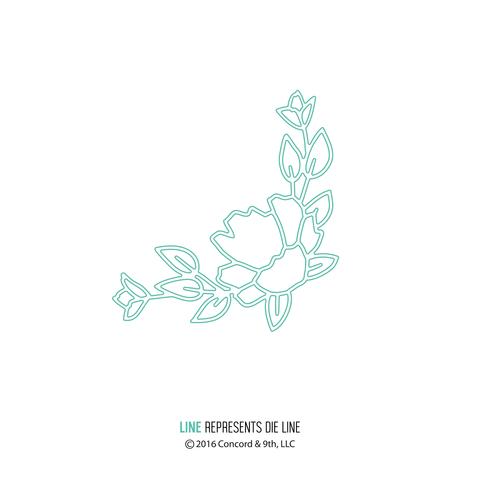 Blossom - Dies Blossom - Dies