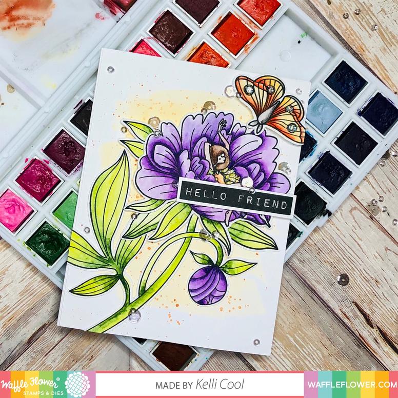 Peony Dreams - Combo