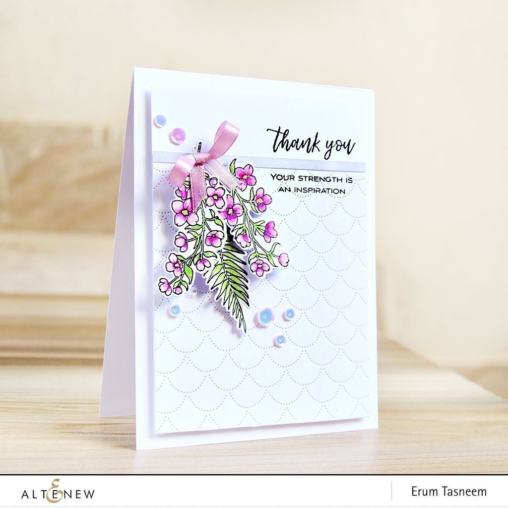 Focus on You Focus on You