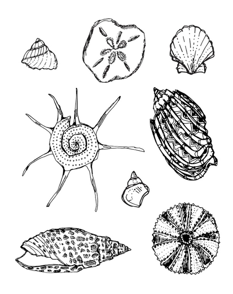 She Sells Seashells - Acrylic Stamps - Jane Davenport