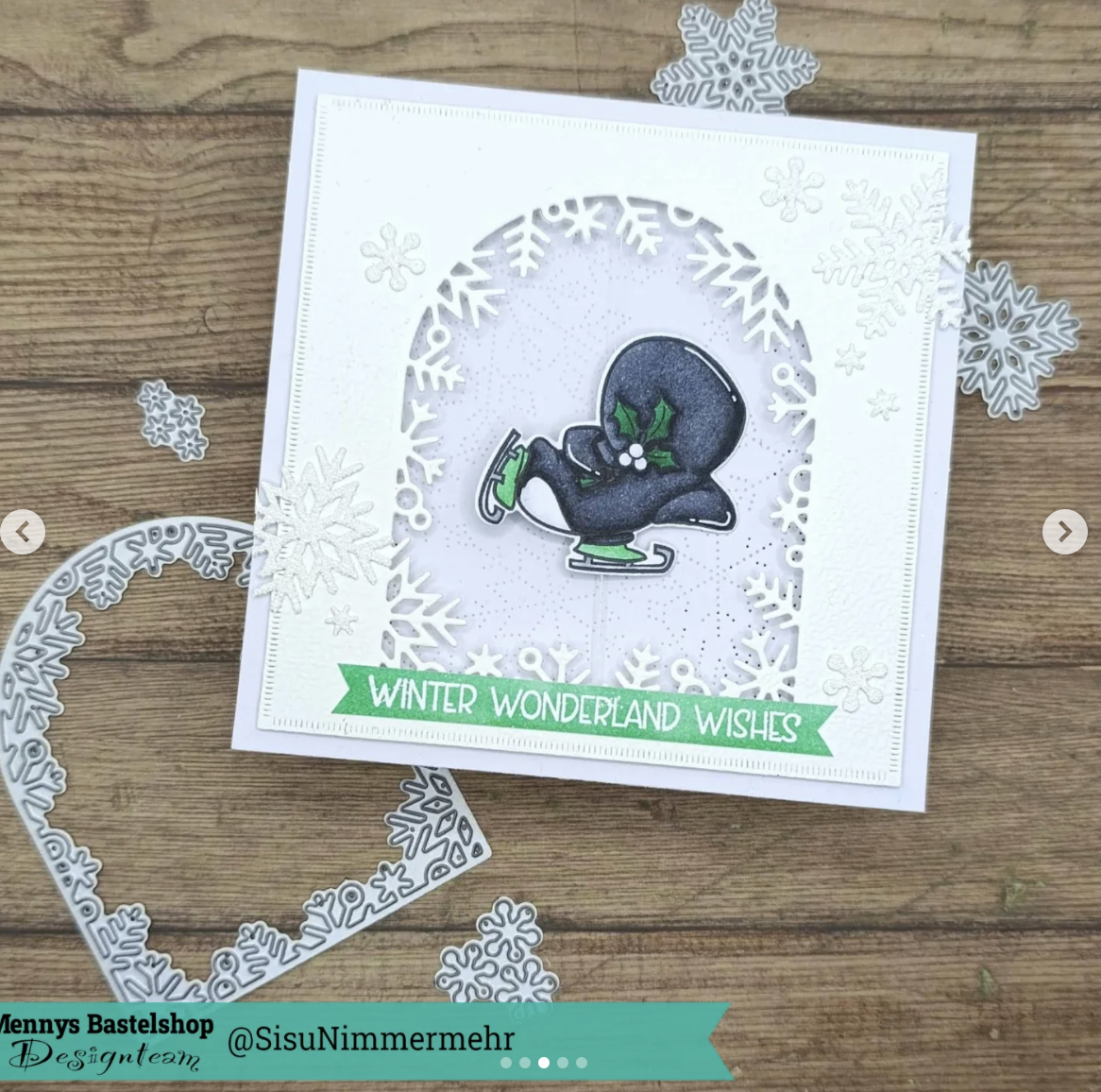 Pinguino Fronte Retro