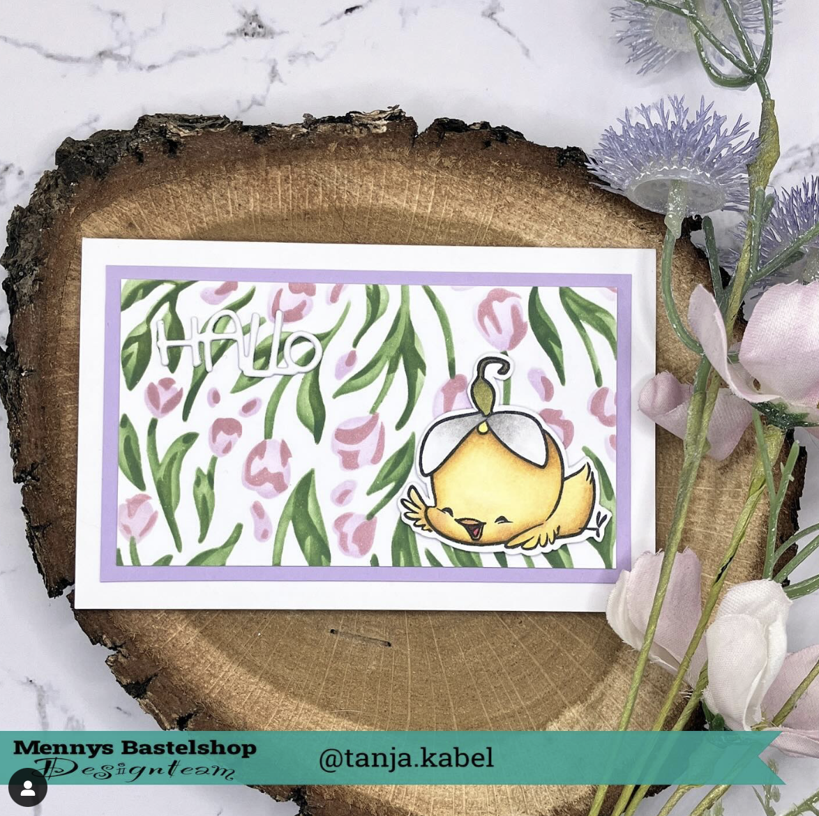 Baby Chick Baby Chick