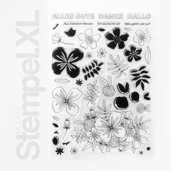 Botanischer Garten Botanischer Garten