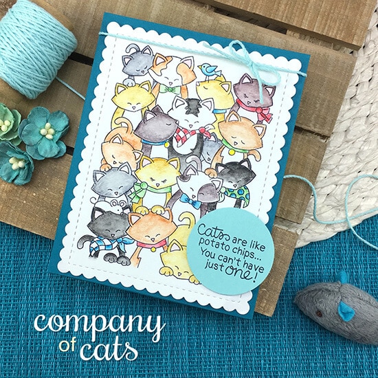 Company of Cats