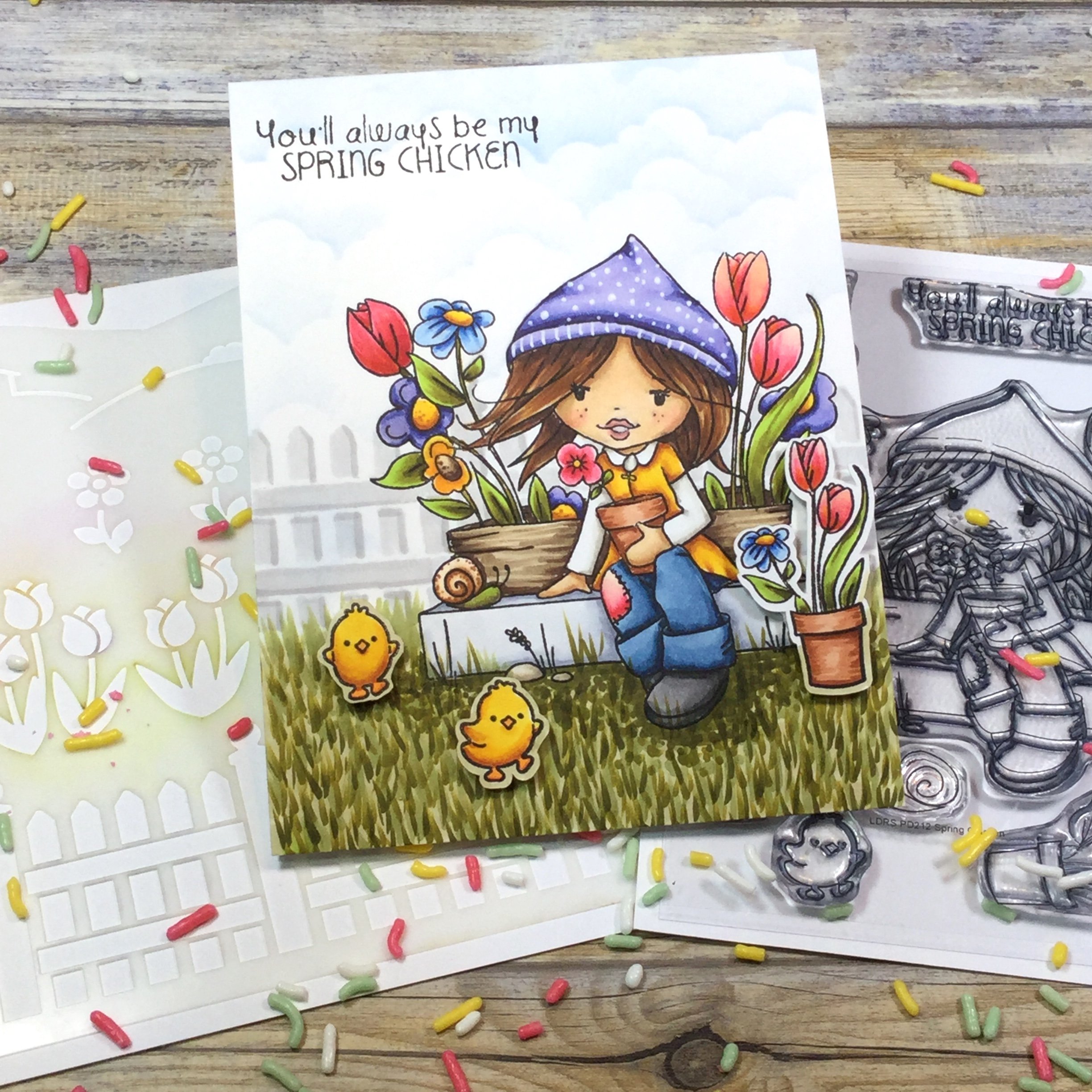 Holly - Spring Chicken Holly - Spring Chicken