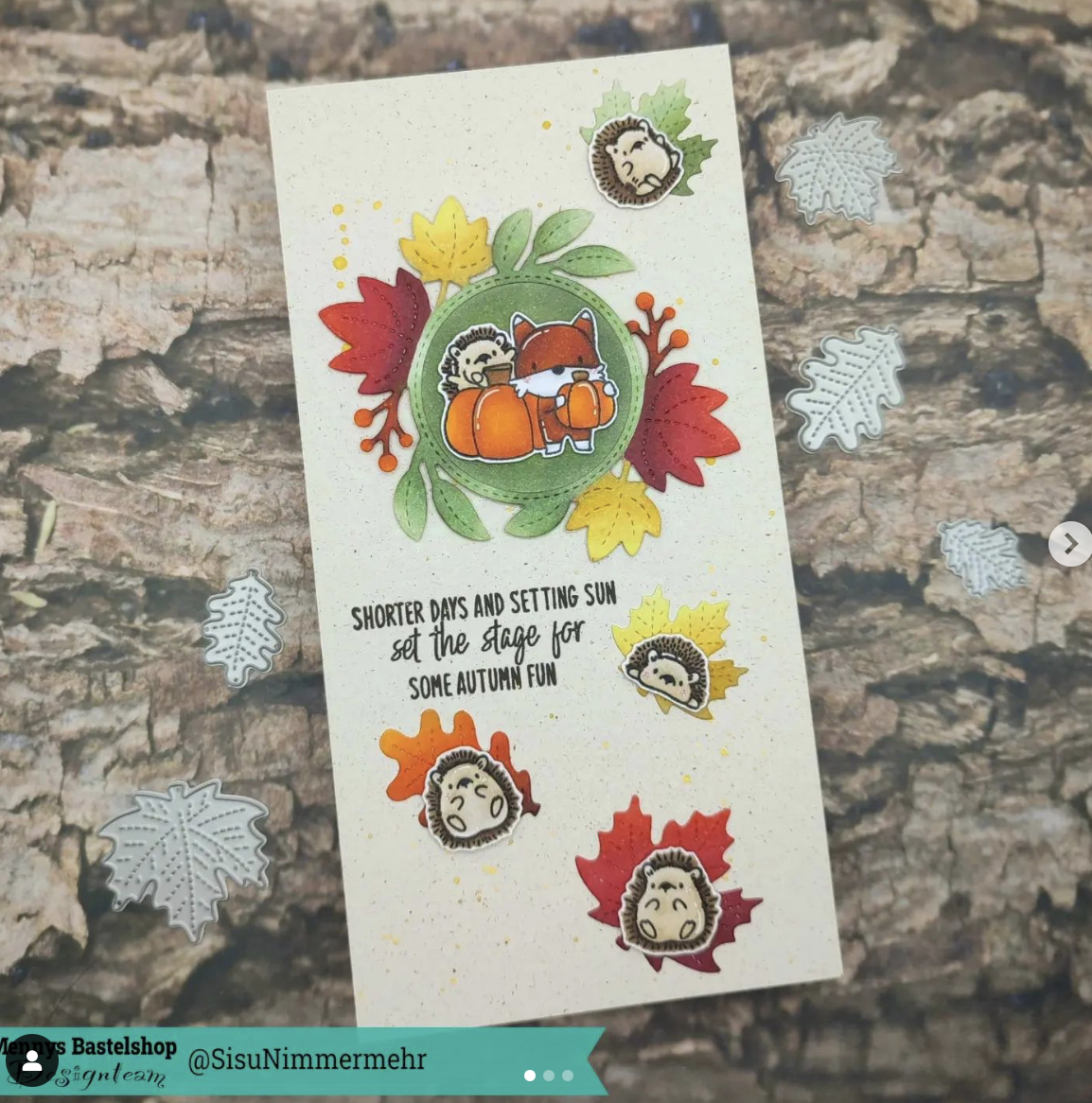 Hey Pumpkin und Little Hedgehog Agenda Hey Pumpkin und Little Hedgehog Agenda