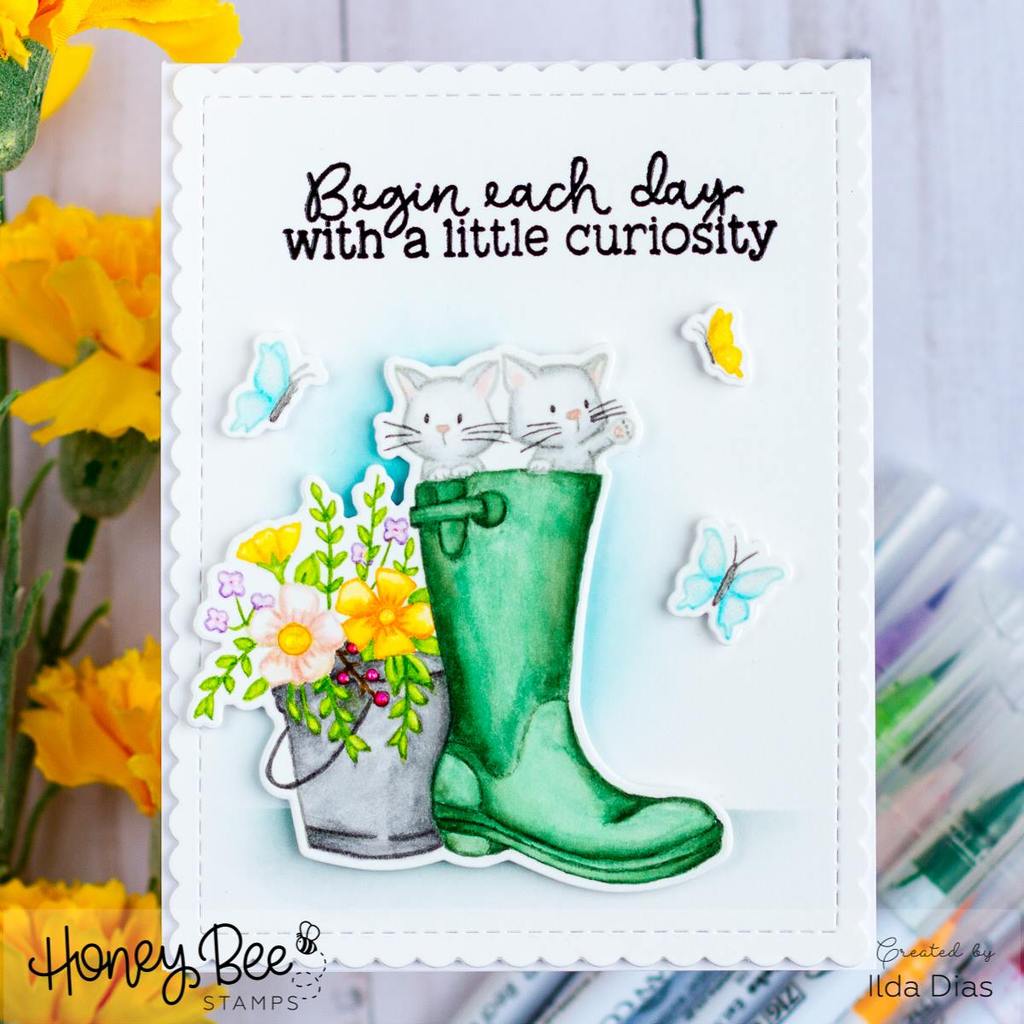 Purrrfect Sentiments