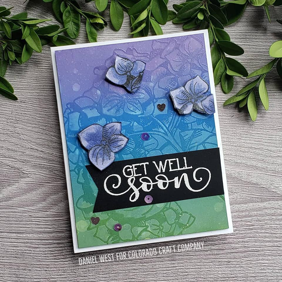 Get Well Hydrangea - Big & Bold