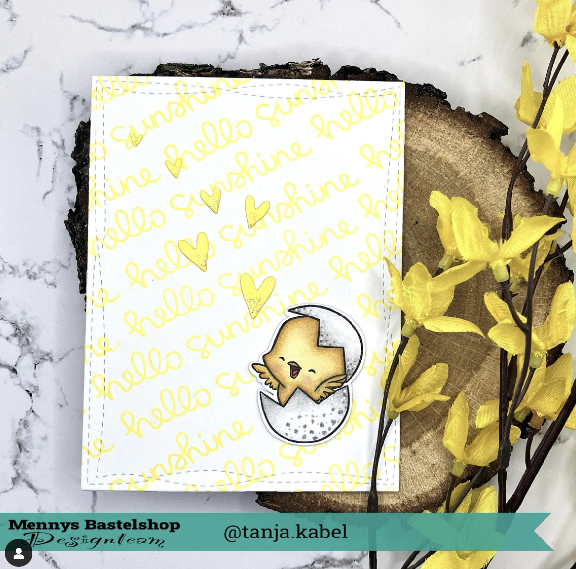 Baby Chick Baby Chick