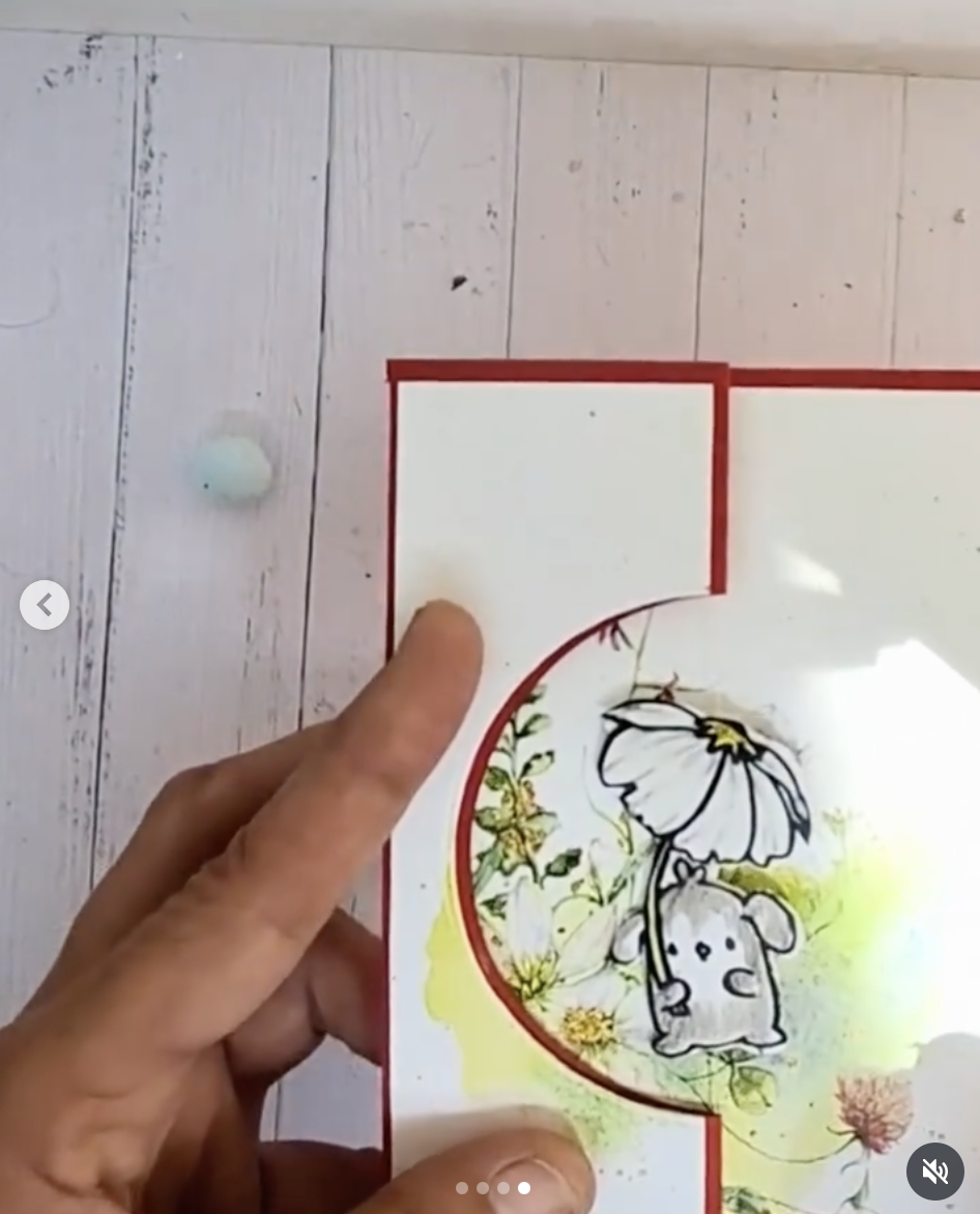 Flower Shower Flower Shower