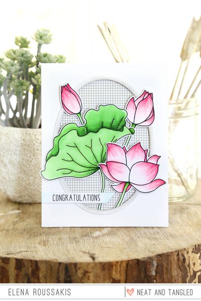 Lovely Lotus Lovely Lotus