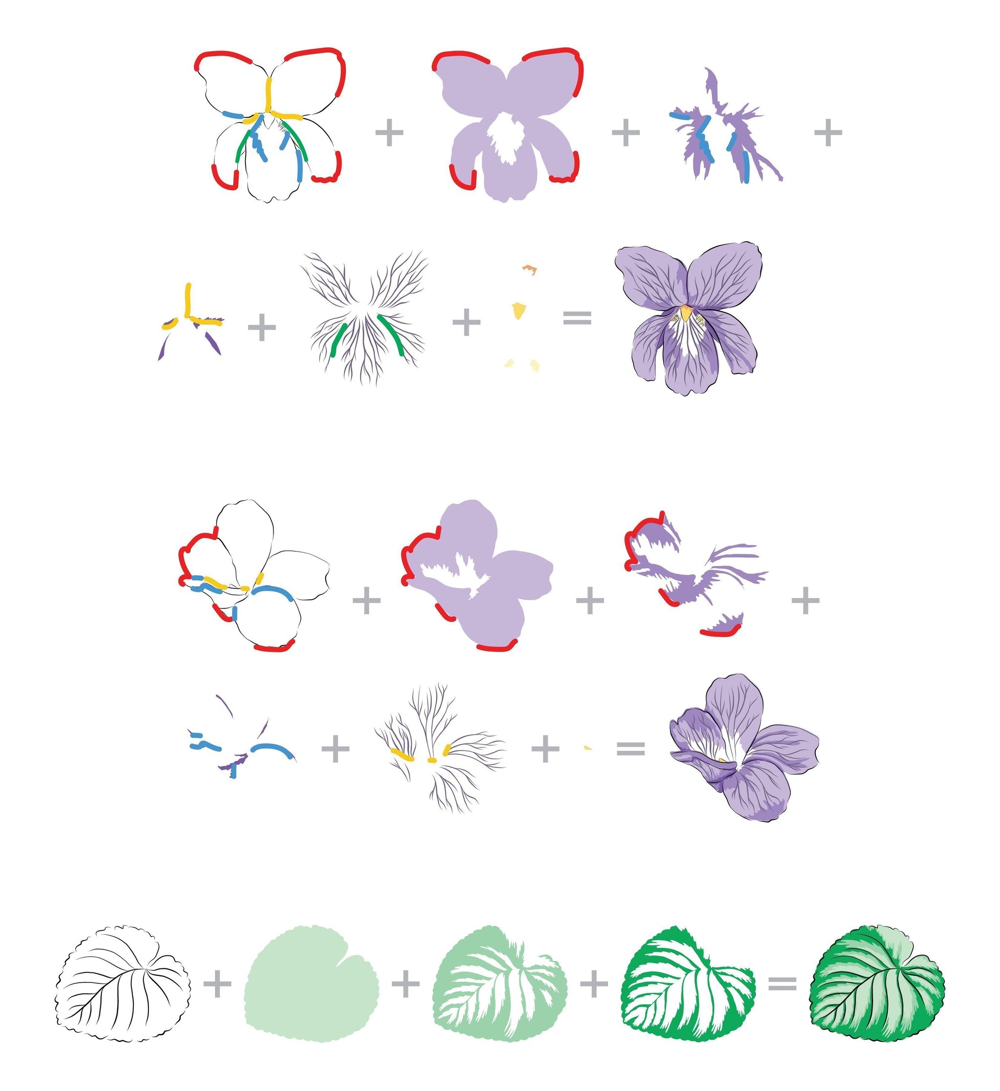 Build-A-Flower: Sweet Violet - Set