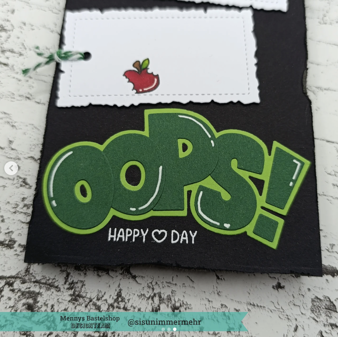 Playful Raccoons Playful Raccoons