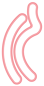 Jump To It - Swivel Slide Add-On - Die Set