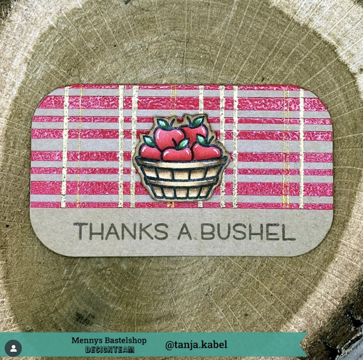  Apple-solutely Awesome 