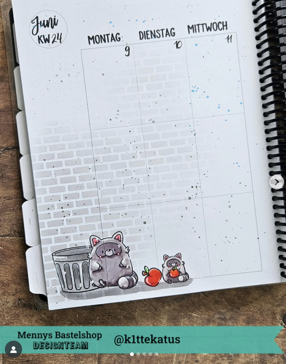 Playful Raccoons Playful Raccoons