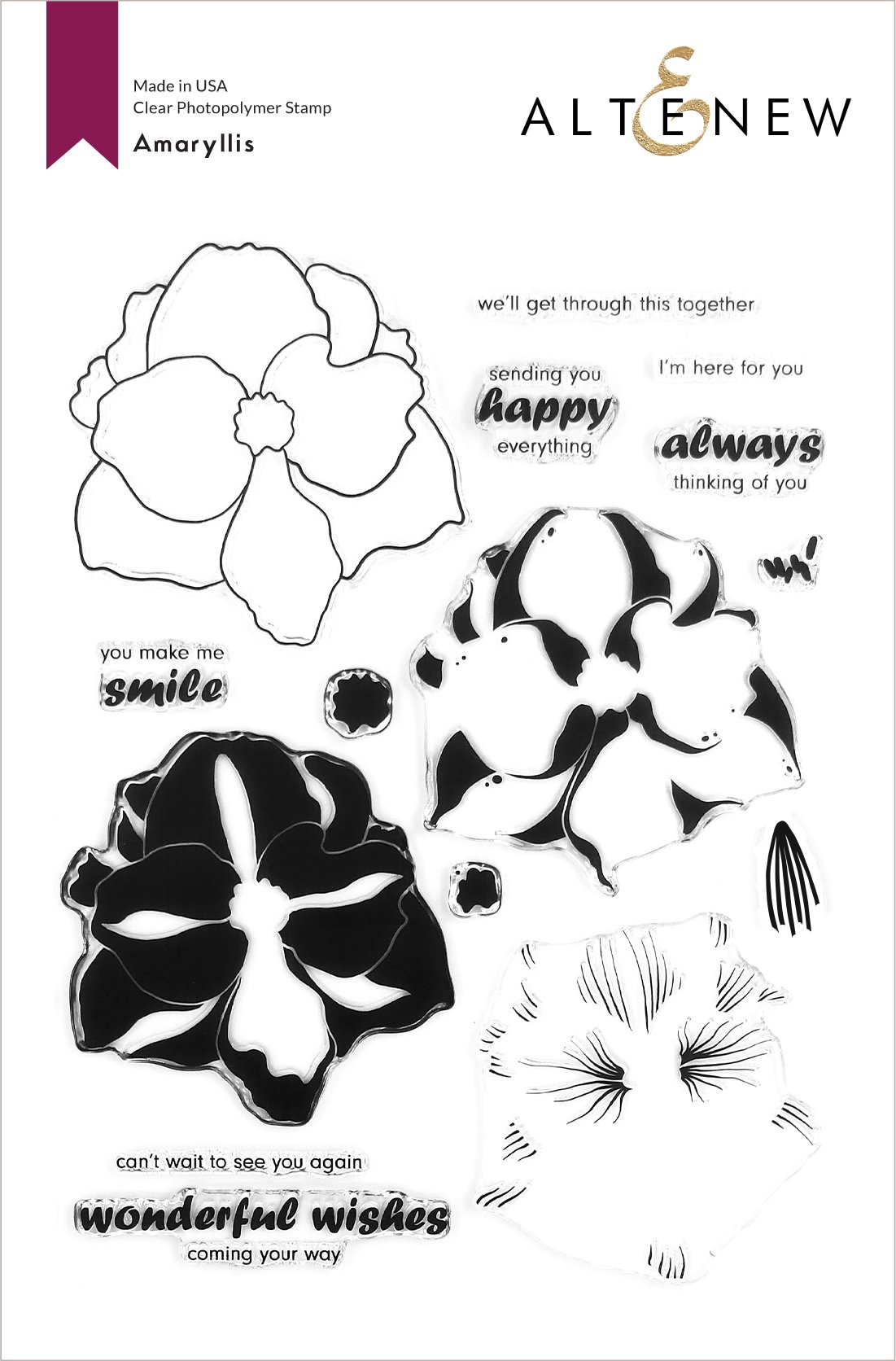 Amaryllis