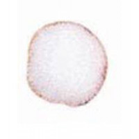 PomPoms in weiß