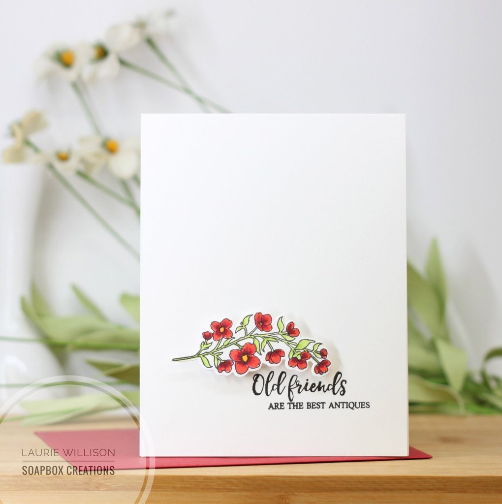 Focus on You - Die Set Focus on You - Die Set