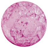 Peony Pink - Embellishment Mousse Peony Pink - Embellishment Mousse