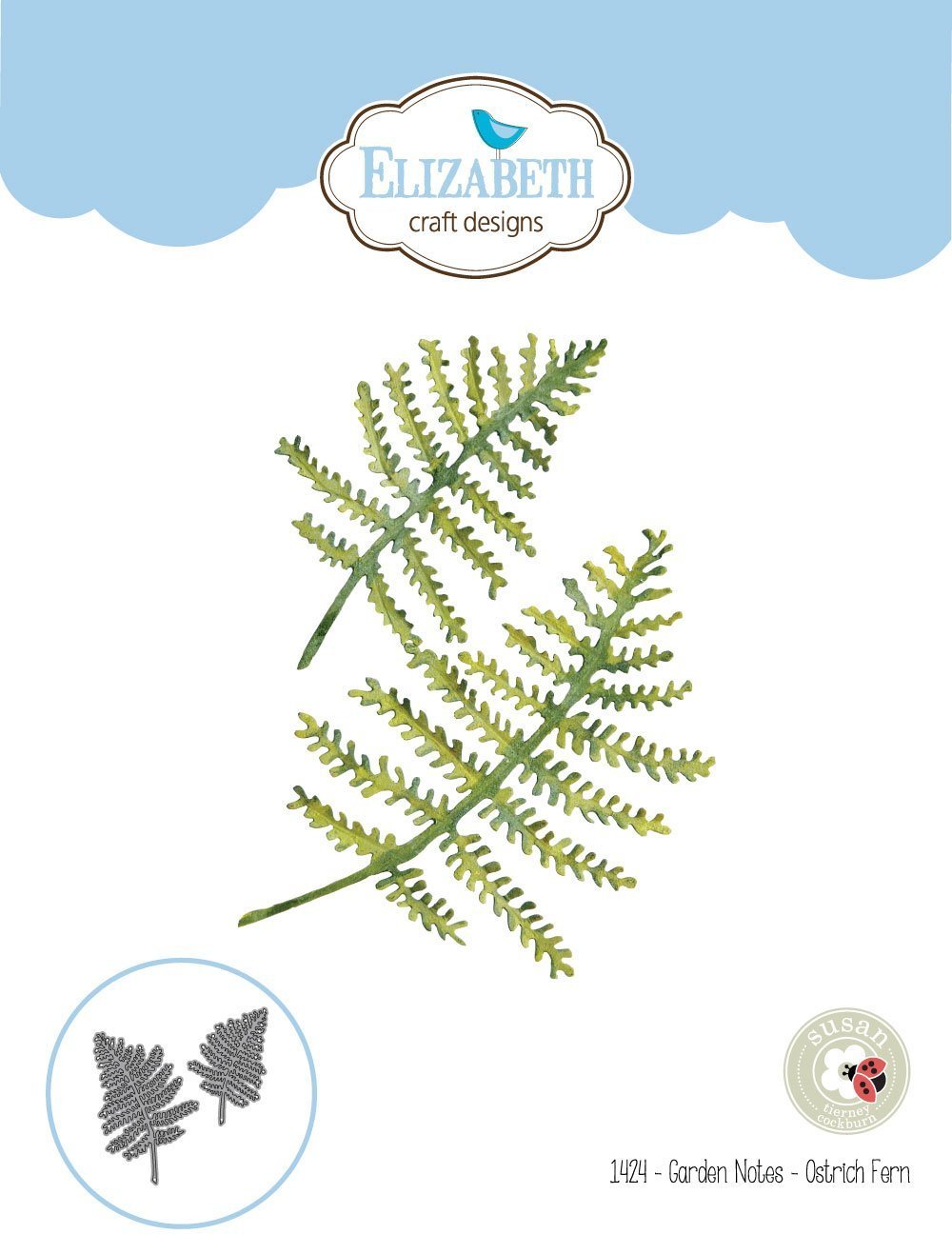Garden Notes - Ostrich Fern