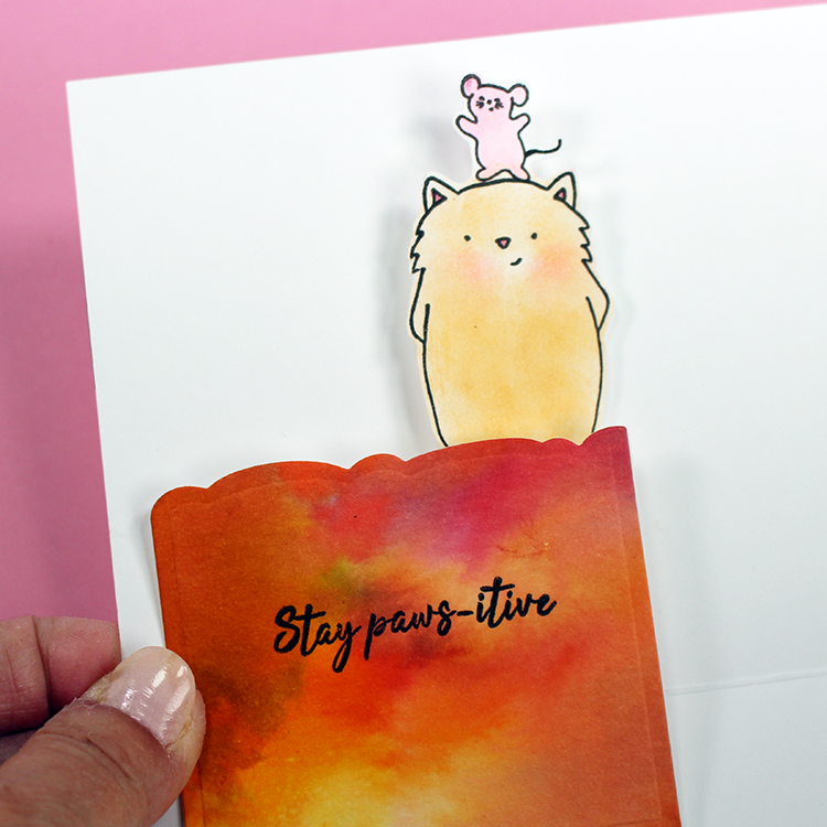 Purrfect Birthday Purrfect Birthday