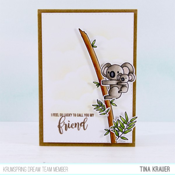 For My Koala Bear For My Koala Bear