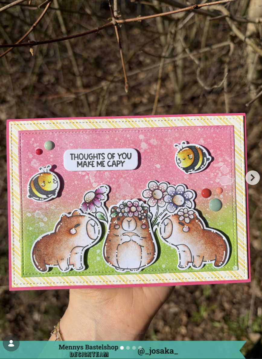 Meerschweinchen Meerschweinchen